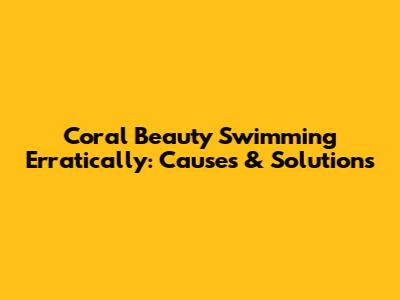 Coral Beauty Swimming Erratically: Causes & Solutions