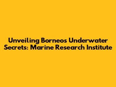 Unveiling Borneo's Underwater Secrets: Marine Research Institute